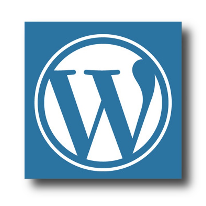 wordpress kritische fout